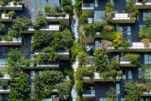 Milano,,Italy.,September,9,,2020.,Bosco,Verticale,,A,Close,Up