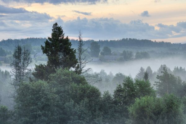 Morning,Fog,In,The,Countryside.,Beautiful,View,Of,A,Small