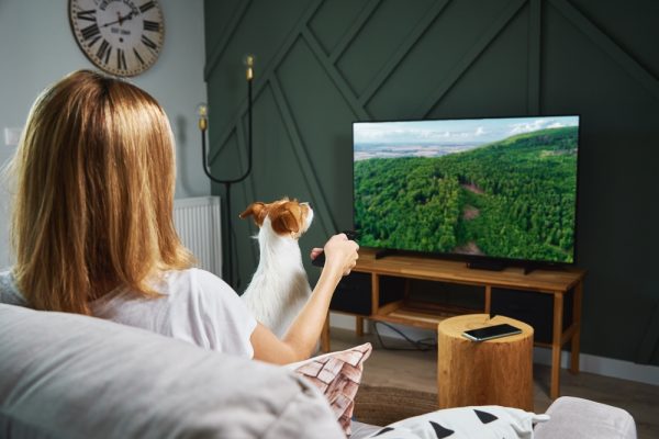 animali tv cani