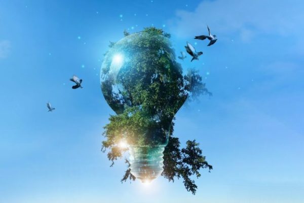 Environment,Friendly,,Light,Bulb,With,Green,Tree,And,Birds,Fly