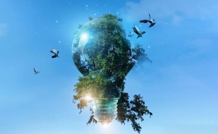 Environment,Friendly,,Light,Bulb,With,Green,Tree,And,Birds,Fly