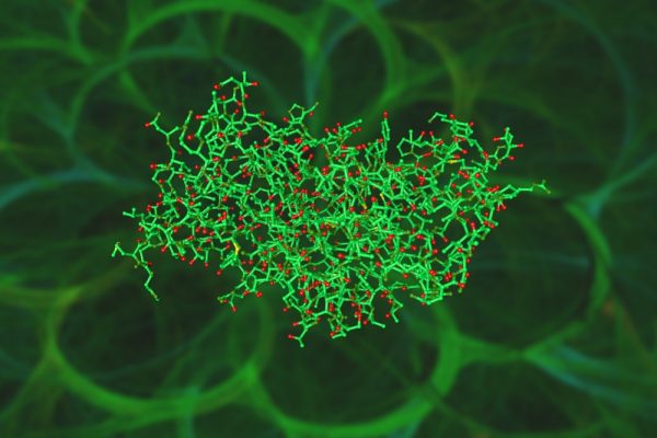 klebsiella