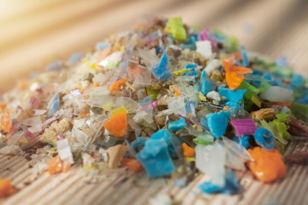 microplastiche, fertilità