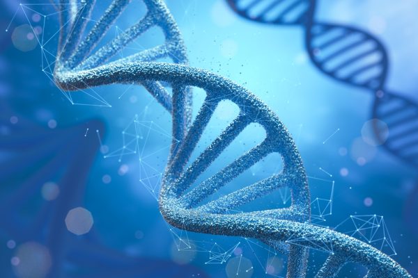 Dna gene dei centenari longevità