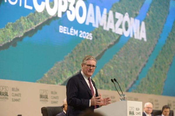 COP 30