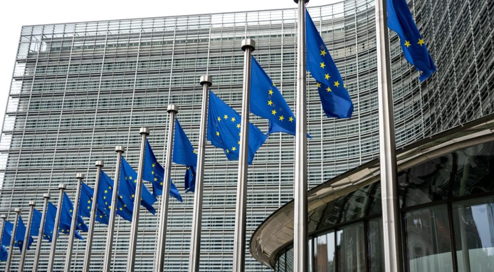 flessibilit&agrave; ue caro energia
