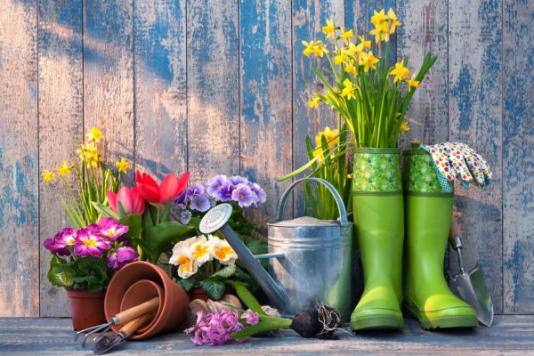 Gardening tools and flowers on the terrace in the garden