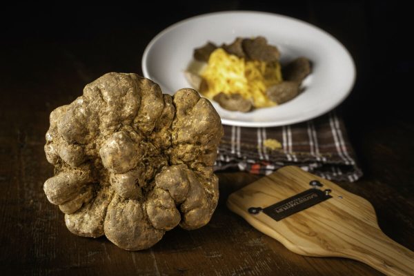 tartufo orizz