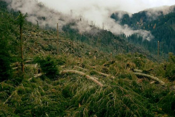 Vaia clima eventi metereologici cop25 trentino