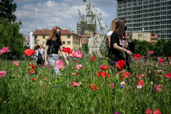 Prato in fiore nei giardini Biblioteca degli Alberi a Porta Nuova Bosco Verticale,  Milano, 9 maggio 2021.  ANSA/Matteo Corner