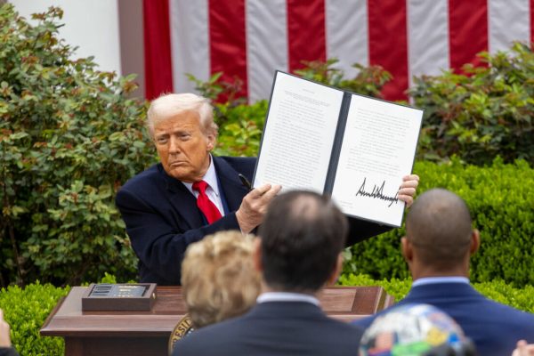 trump dazi