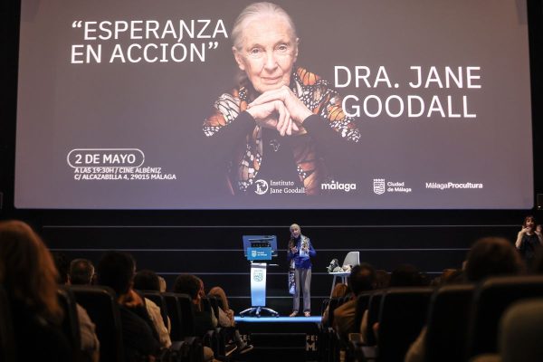 Jane Goodall ansa