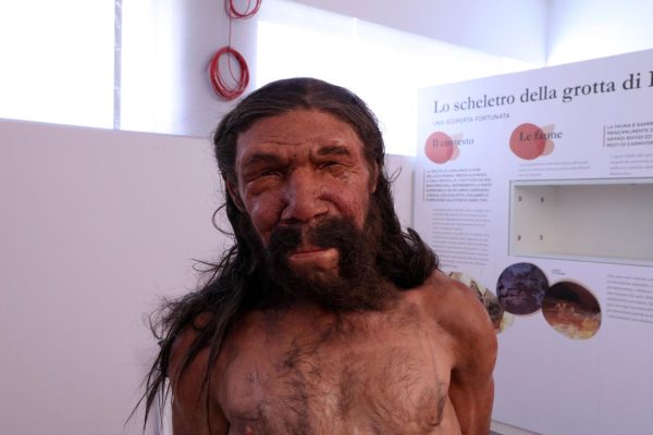 Neanderthal Altamura